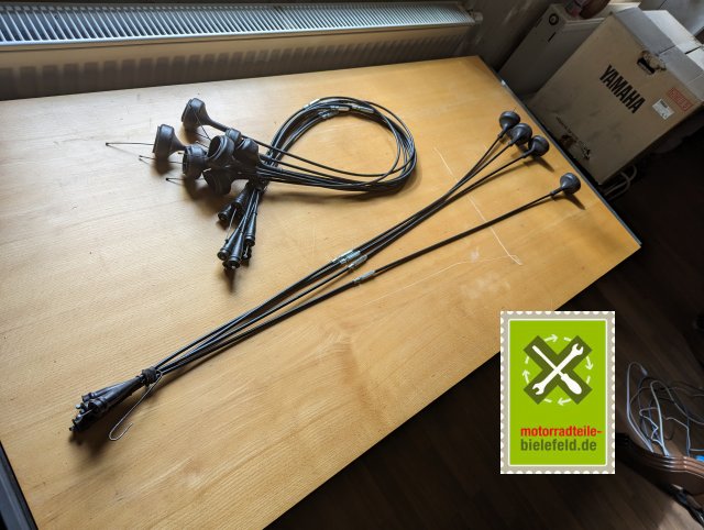 PXL_20240507_144755491